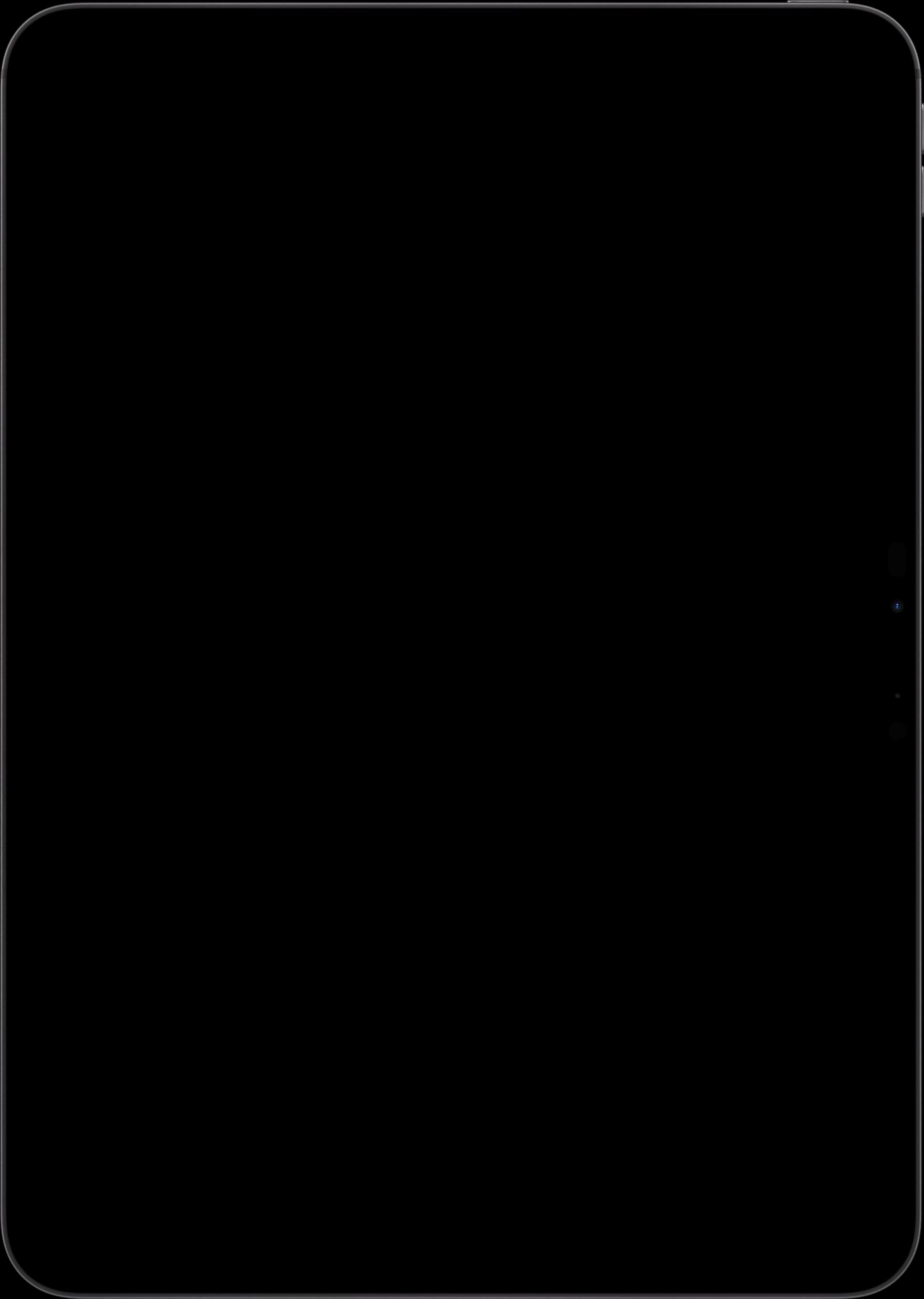 iPad Pro Vertical Bezel